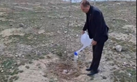 وزیر جهاد کشاورزی به یاد شهیدان چند اصله نهال غرس کرد
